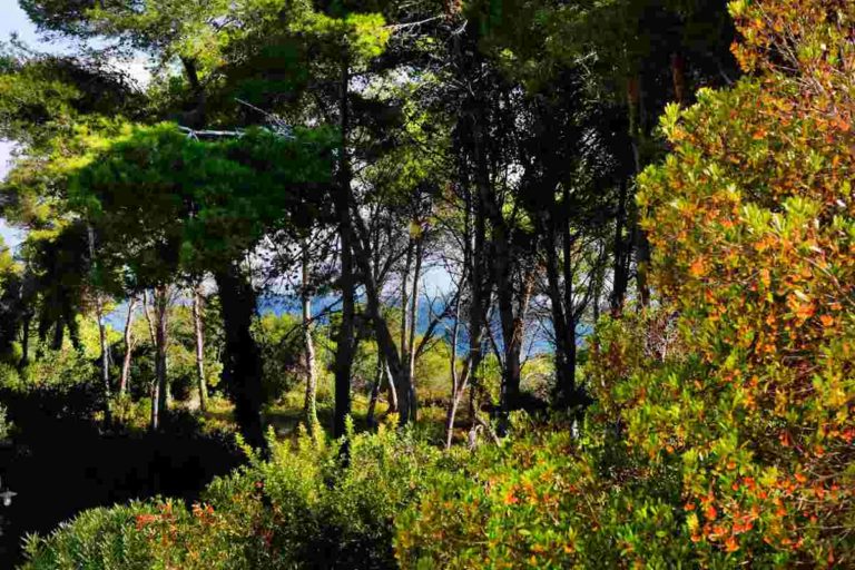 Villaggi appartamenti ville sul mare vicino Otranto nel Salento Puglia